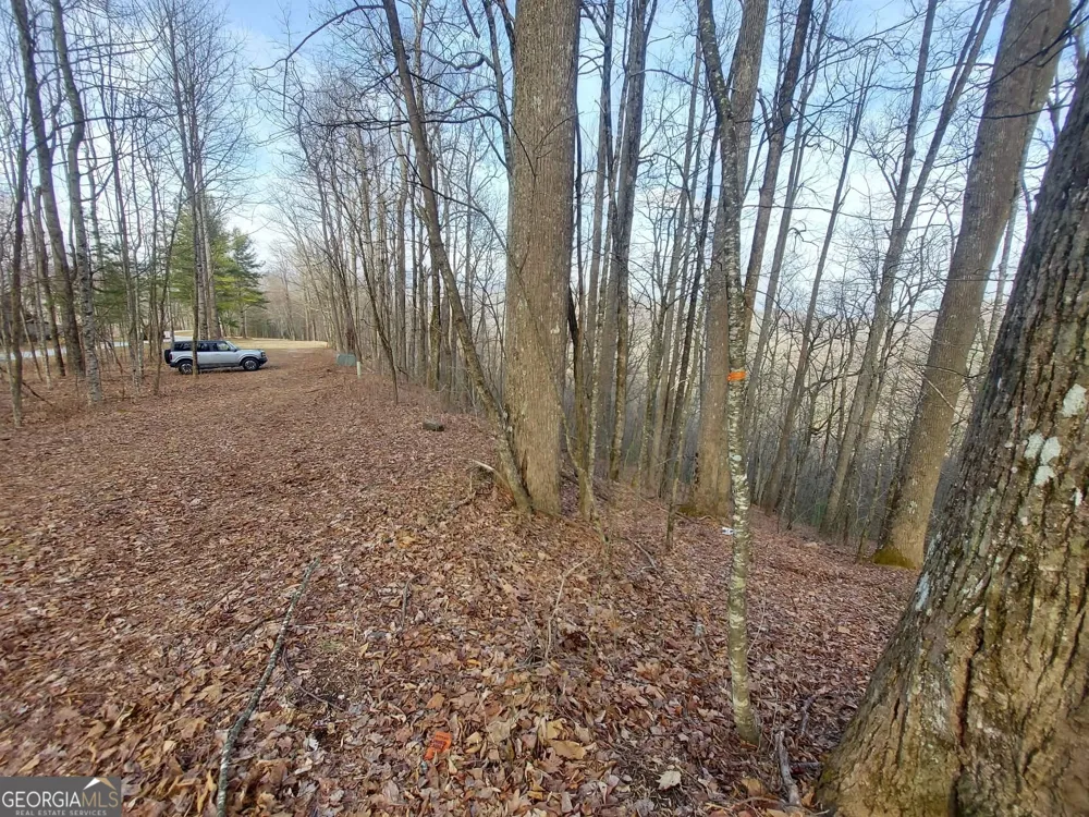0 LOTS 9 & 9A Wild Bird Sky Valley, GA 30537
