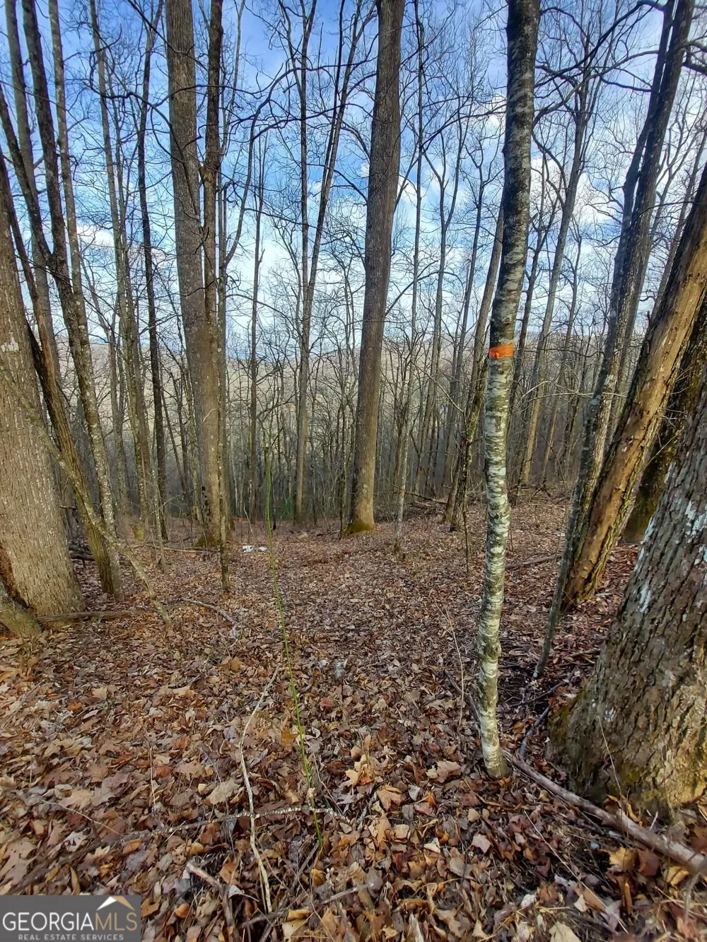 0 LOTS 9 & 9A Wild Bird Sky Valley, GA 30537