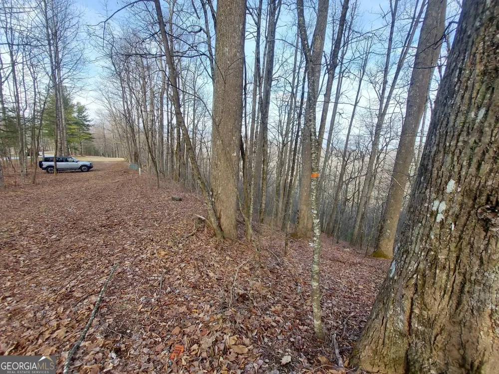 0 LOTS 9 & 9A Wild Bird Sky Valley, GA 30537