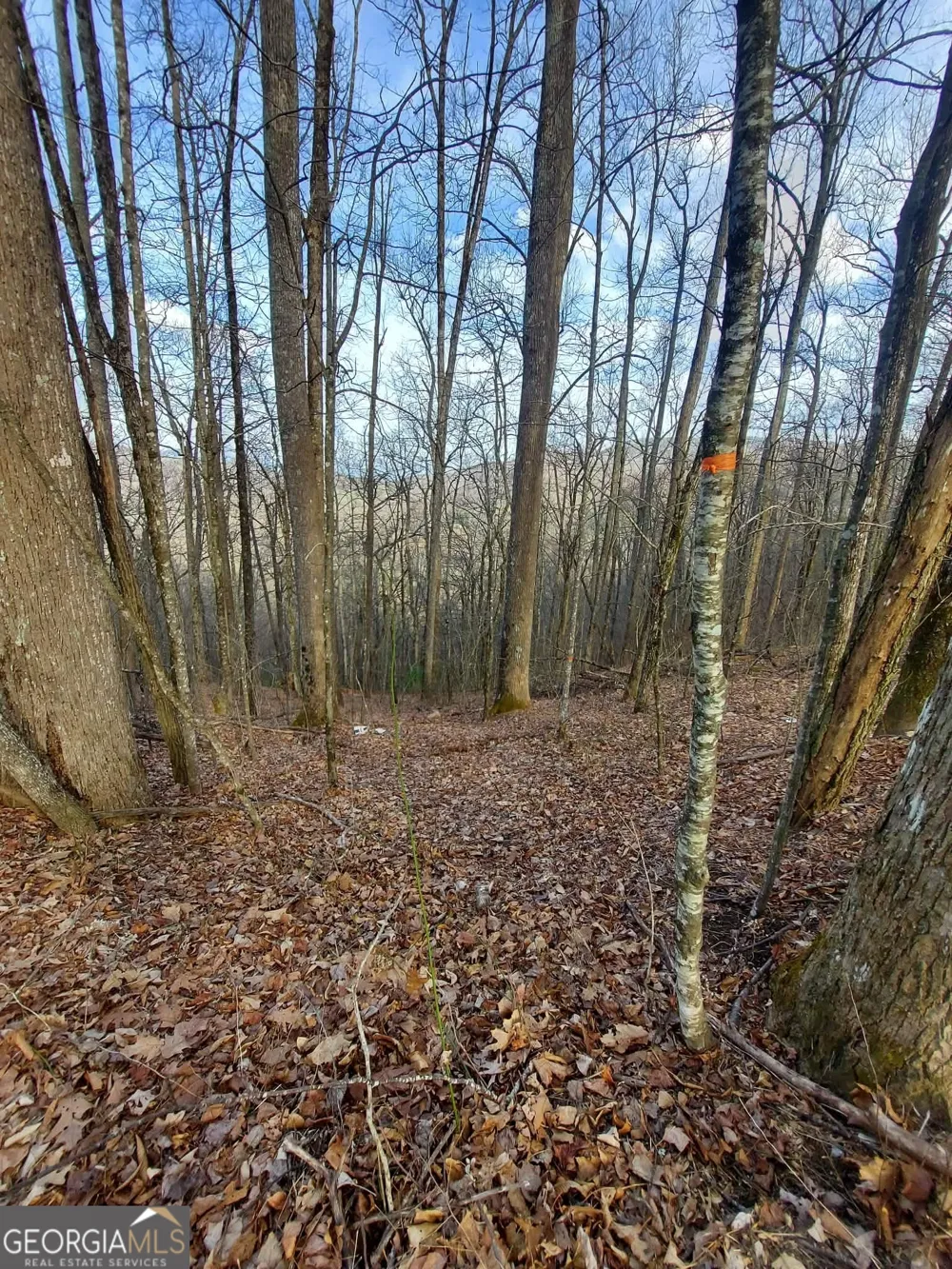 0 LOTS 9 & 9A Wild Bird Sky Valley, GA 30537