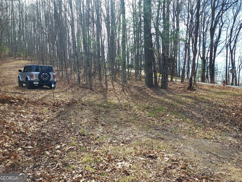 0 LOTS 9 & 9A Wild Bird Sky Valley, GA 30537