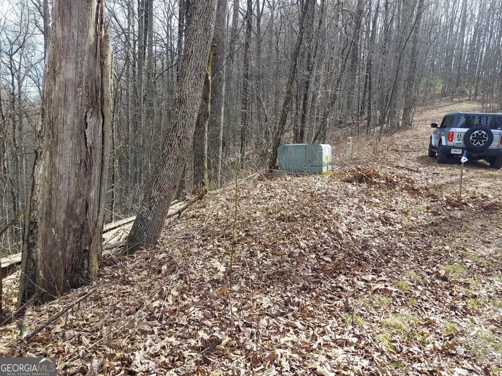 0 LOTS 9 & 9A Wild Bird Sky Valley, GA 30537