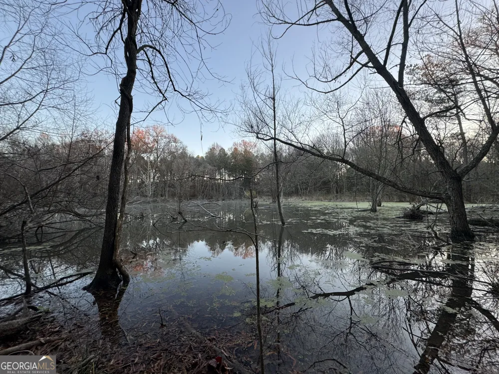 01 Seneca ST Calhoun Falls, SC 29628