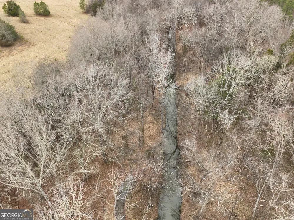 01 Seneca ST Calhoun Falls, SC 29628