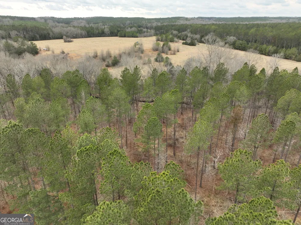 01 Seneca ST Calhoun Falls, SC 29628
