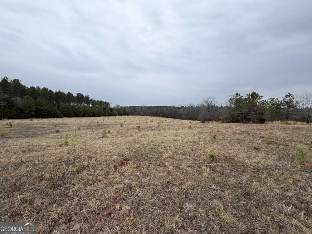 01 Seneca ST Calhoun Falls, SC 29628