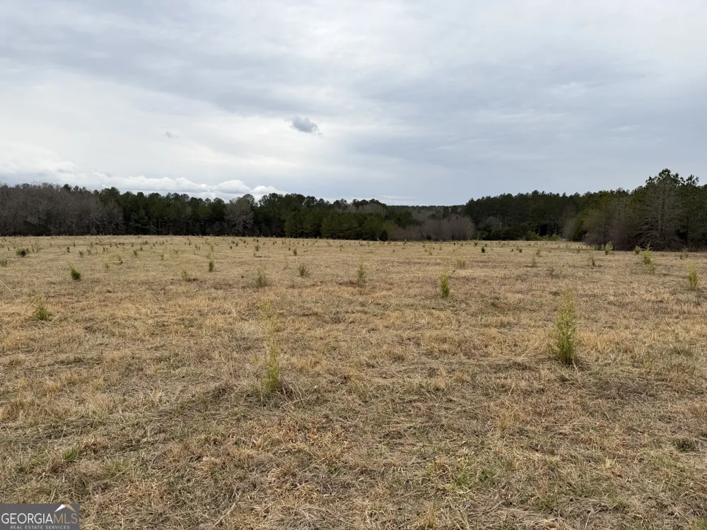 01 Seneca ST Calhoun Falls, SC 29628