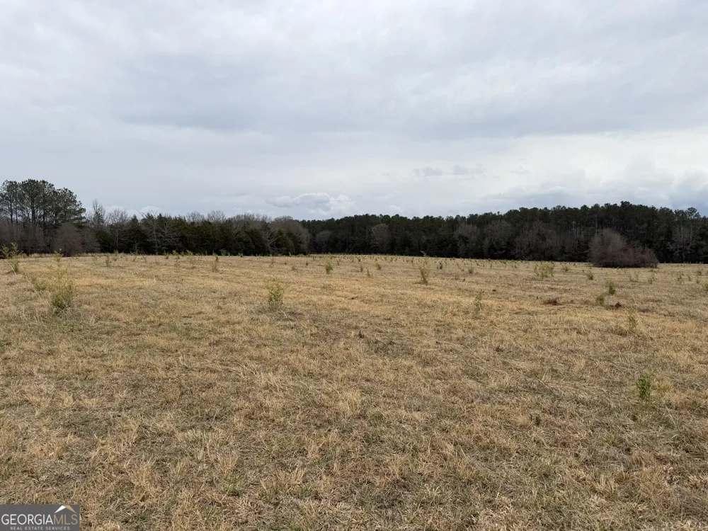 01 Seneca ST Calhoun Falls, SC 29628