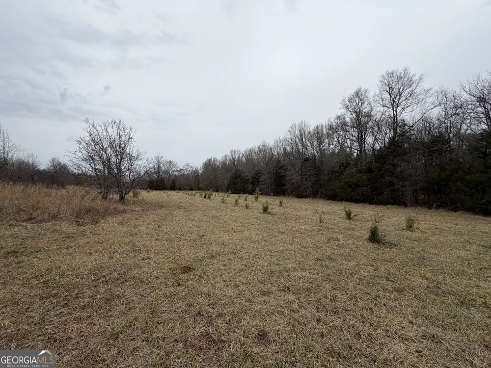 01 Seneca ST Calhoun Falls, SC 29628