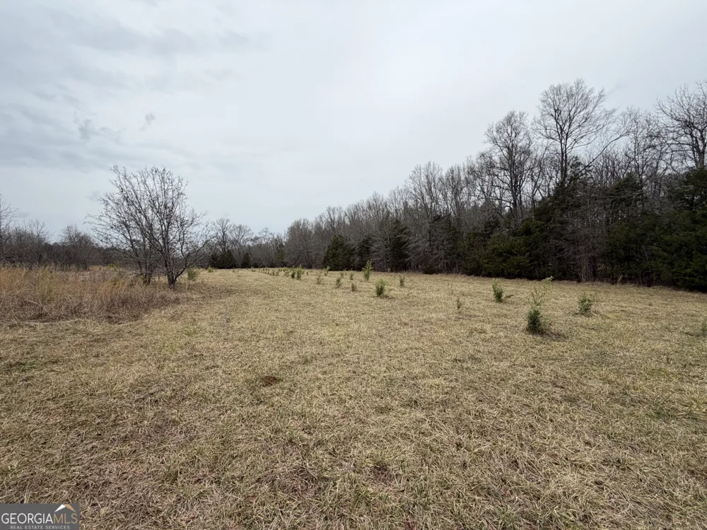 01 Seneca ST Calhoun Falls, SC 29628