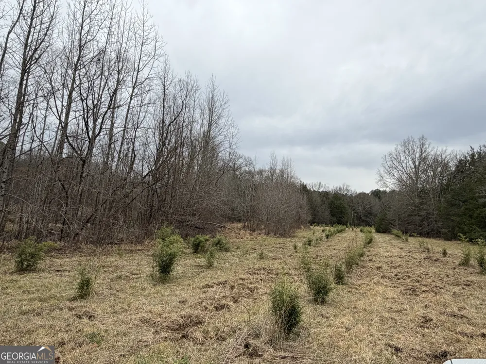 01 Seneca ST Calhoun Falls, SC 29628