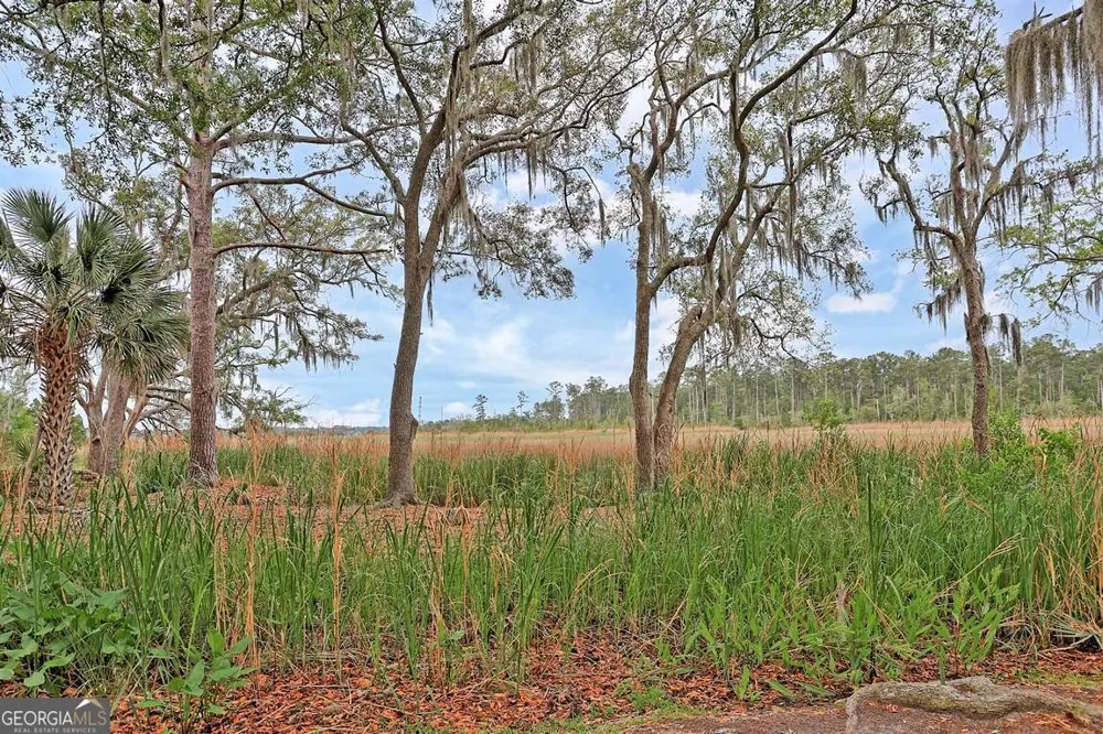 11 Mill Run LN Richmond Hill, GA 31324