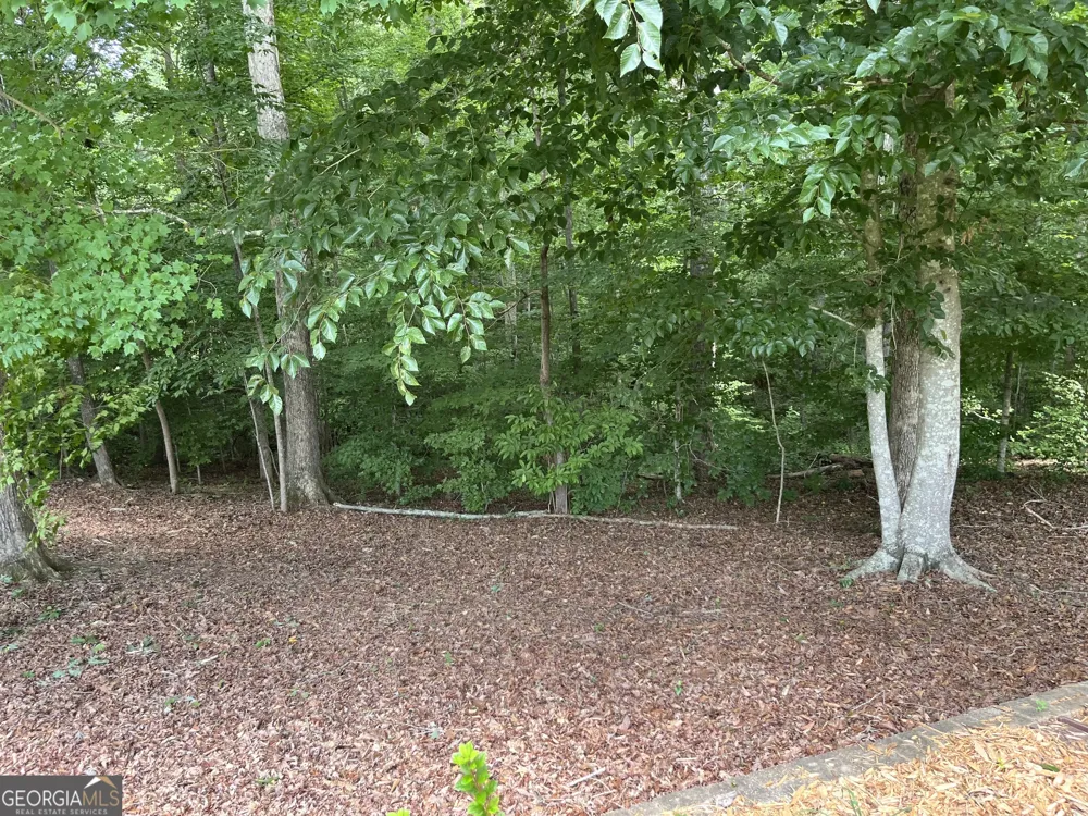 139 Laurel Creek CT Carrollton, GA 30117