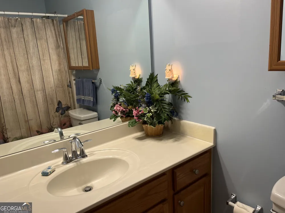139 Laurel Creek CT Carrollton, GA 30117