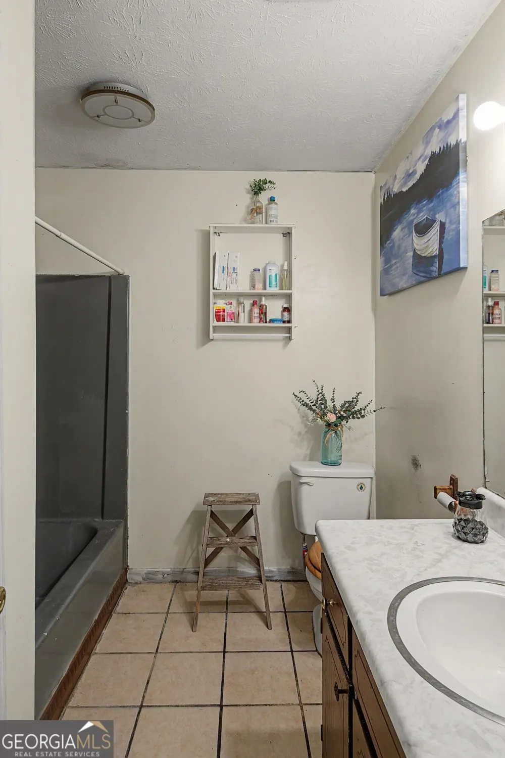 495 Sconyers ST Metter, GA 30439
