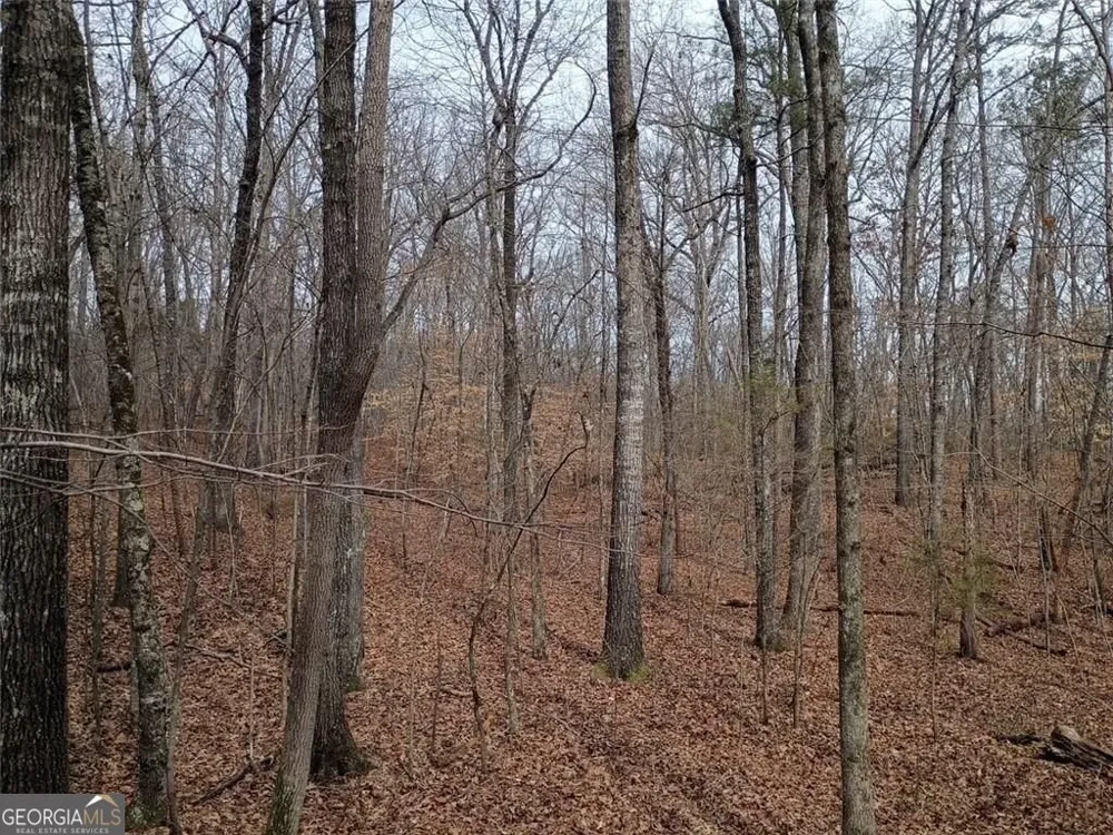 0-A Cleveland HWY Cohutta, GA 30710