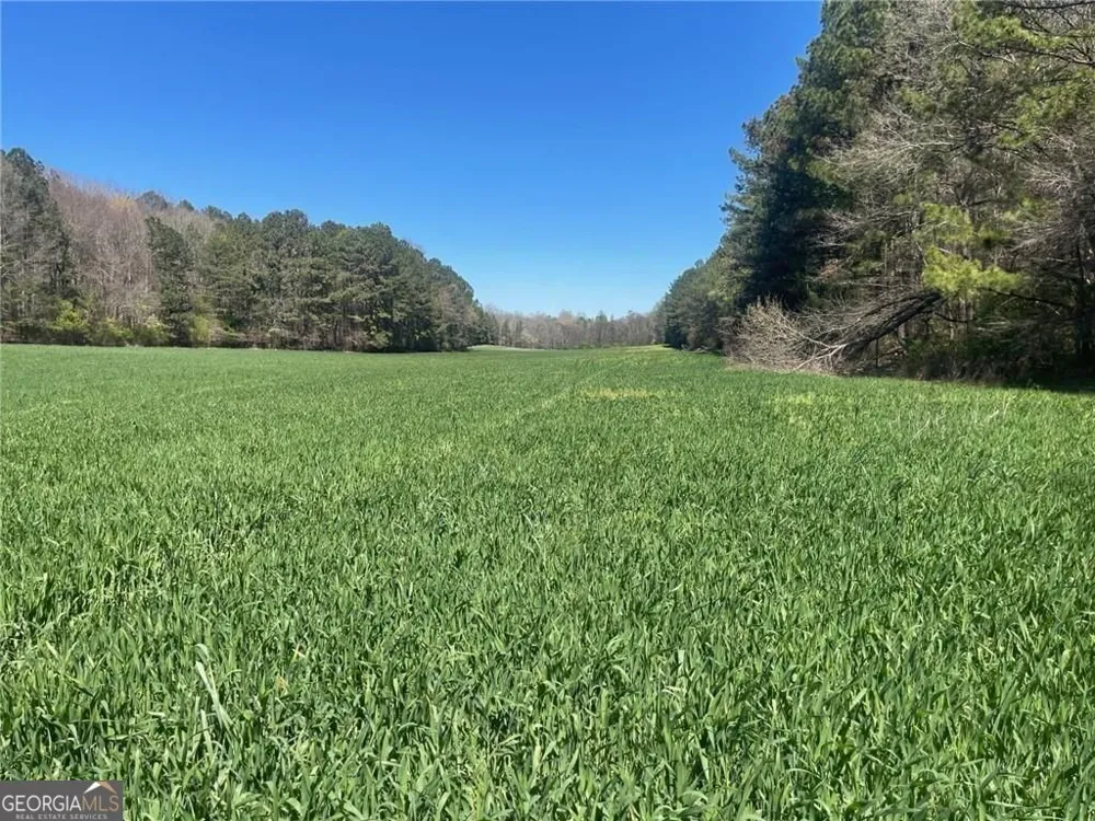 0-A Cleveland HWY Cohutta, GA 30710