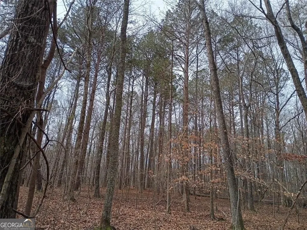 0-A Cleveland HWY Cohutta, GA 30710