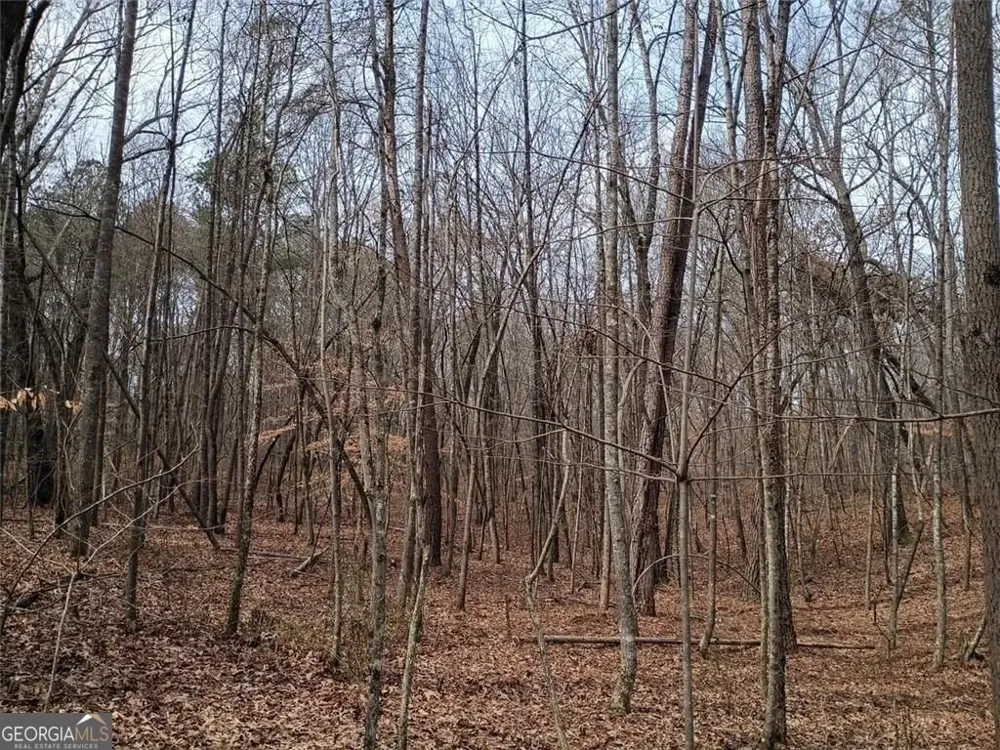 0-A Cleveland HWY Cohutta, GA 30710