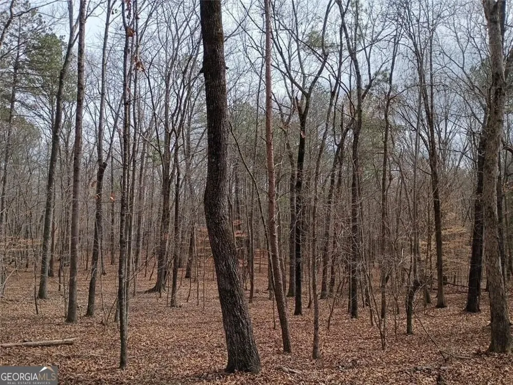0-A Cleveland HWY Cohutta, GA 30710