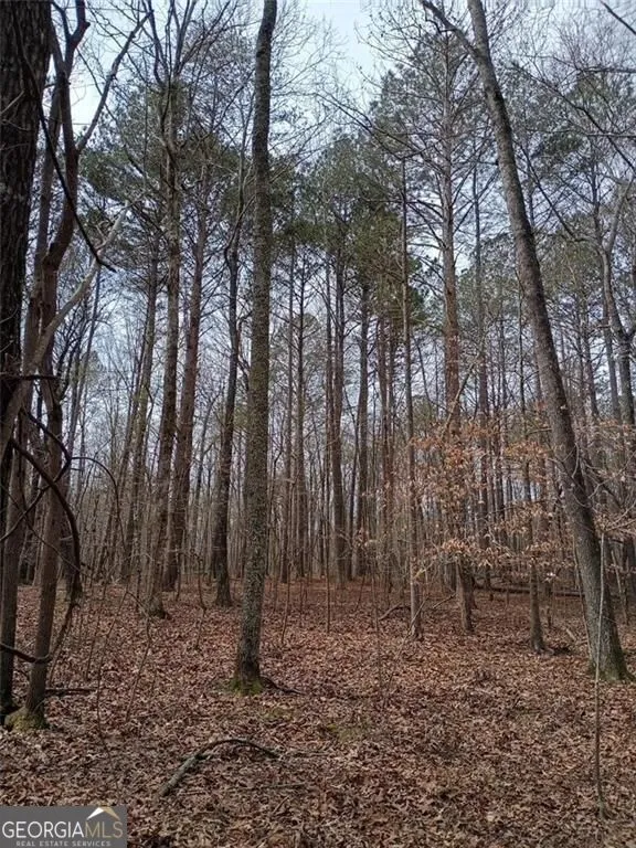 0-A Cleveland HWY Cohutta, GA 30710