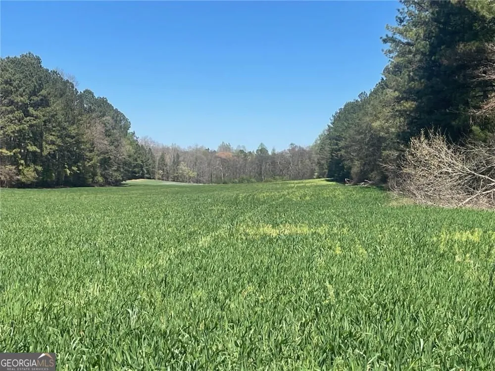 0-A Cleveland HWY Cohutta, GA 30710