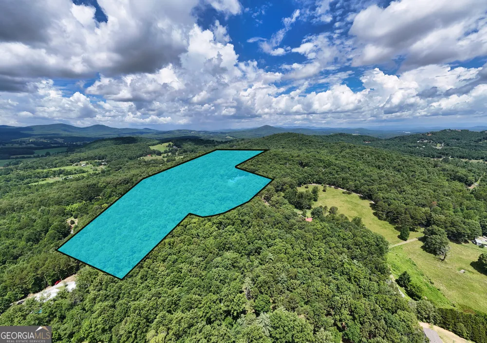 266 E Wright RD Blairsville, GA 30512