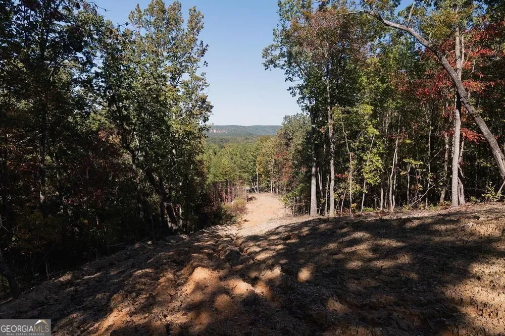 34 E Heritage DR NE Rydal, GA 30171