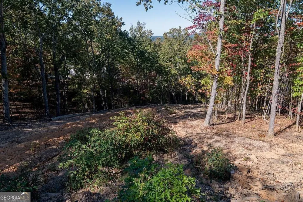 34 E Heritage DR NE Rydal, GA 30171