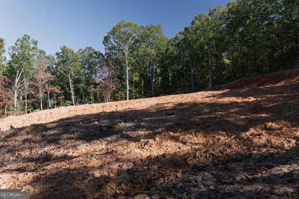 34 E Heritage DR NE Rydal, GA 30171