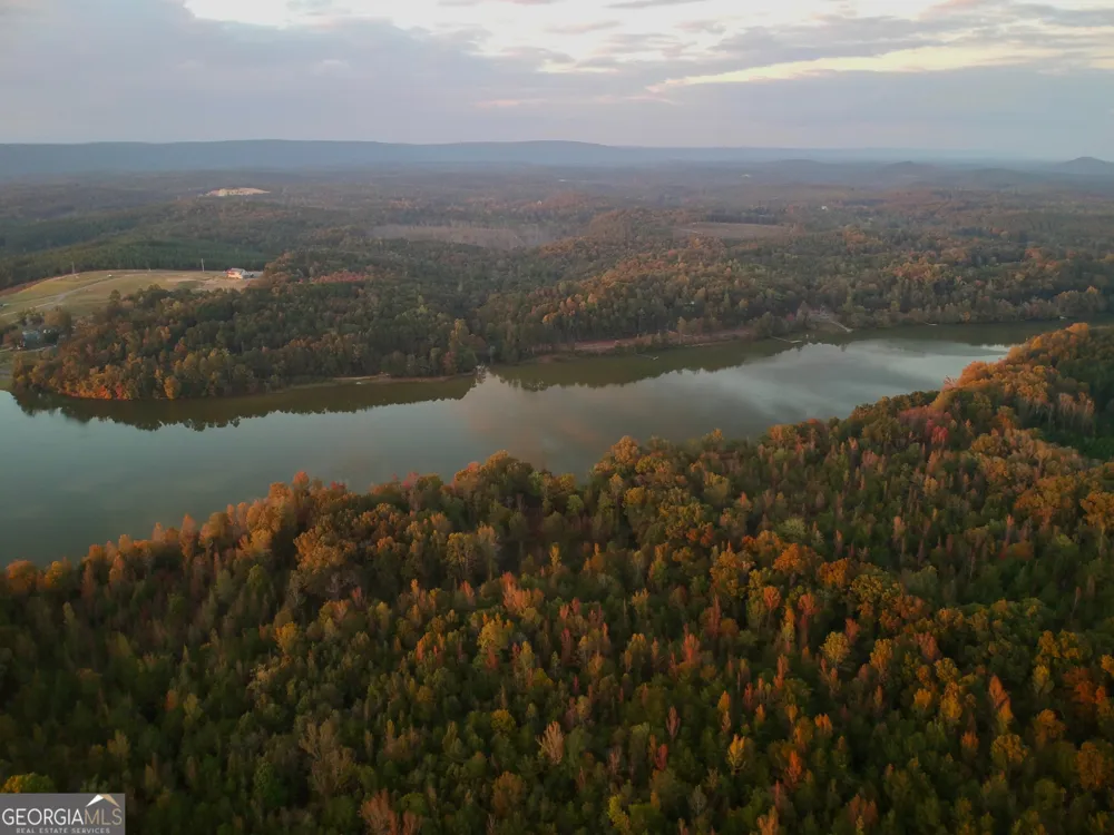 51 County Road 1024 Cedar Bluff, AL 35959