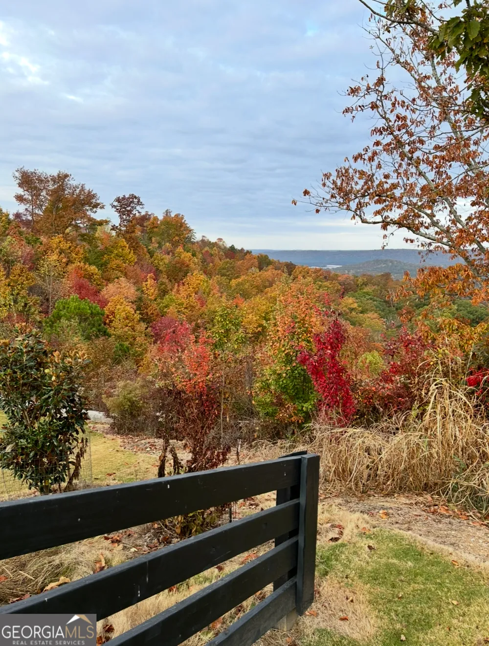 51 County Road 1024 Cedar Bluff, AL 35959