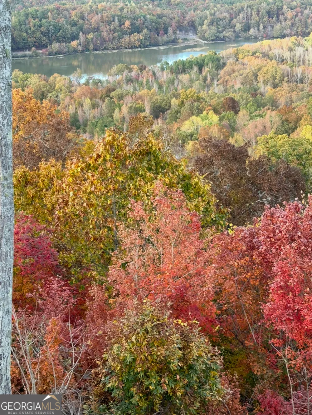51 County Road 1024 Cedar Bluff, AL 35959
