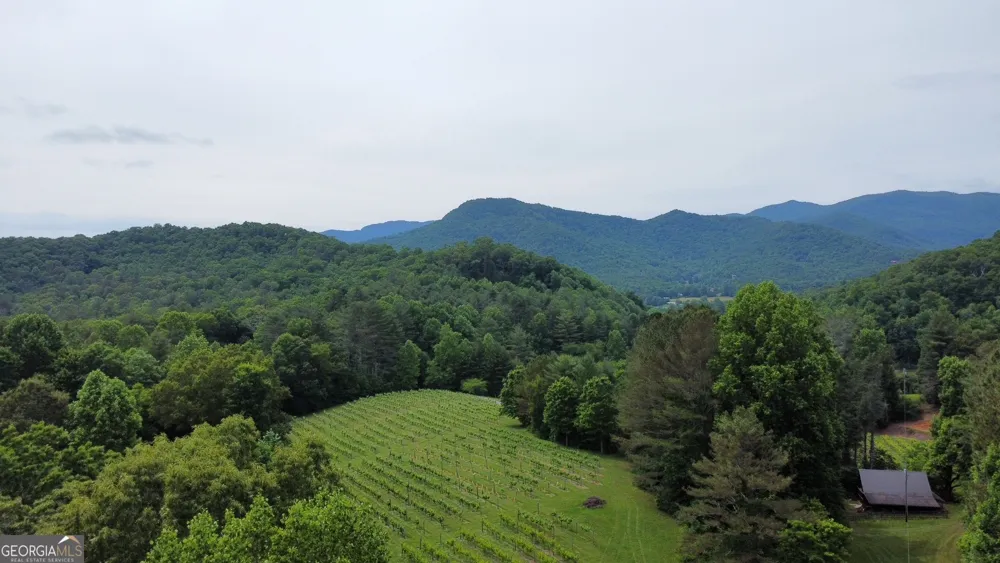 0 Mr Bert RD Hiawassee, GA 30546