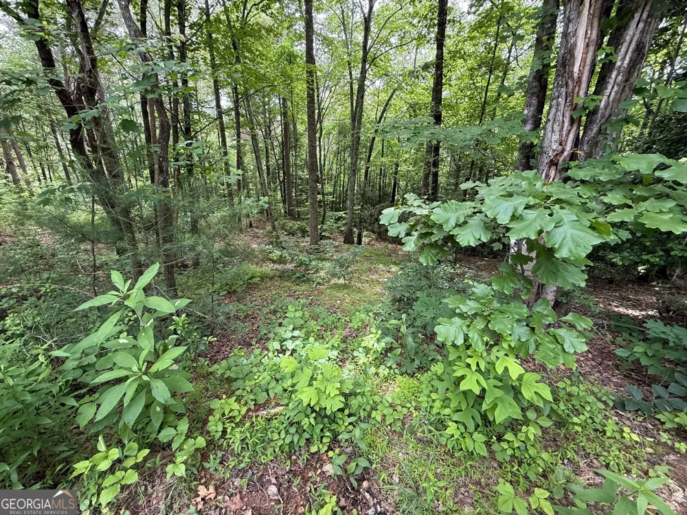 0 Mr Bert RD Hiawassee, GA 30546