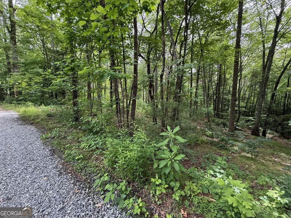 0 Mr Bert RD Hiawassee, GA 30546