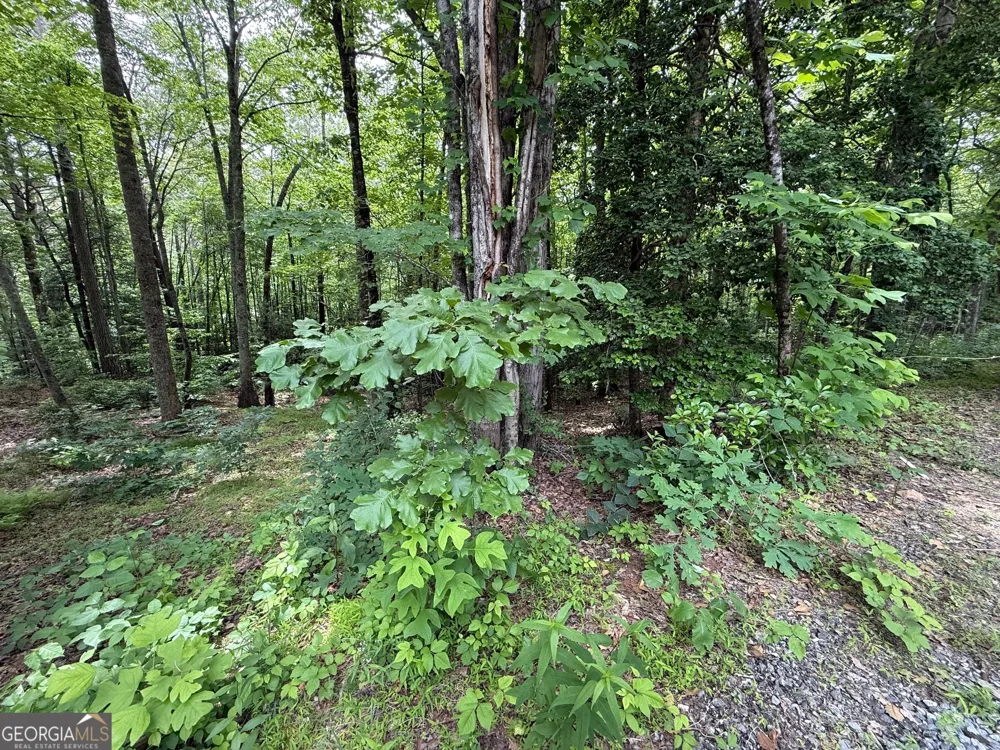 0 Mr Bert RD Hiawassee, GA 30546