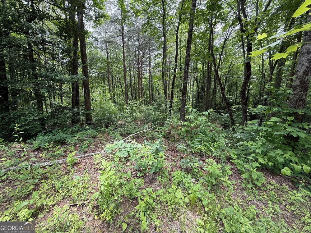 0 Mr Bert RD Hiawassee, GA 30546