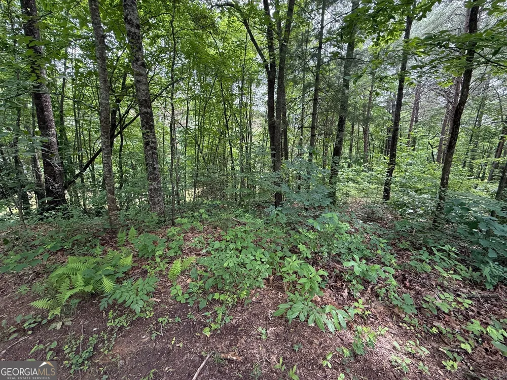 0 Mr Bert RD Hiawassee, GA 30546