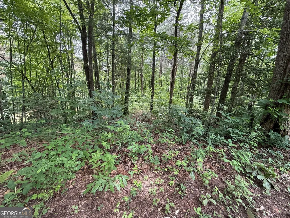 0 Mr Bert RD Hiawassee, GA 30546