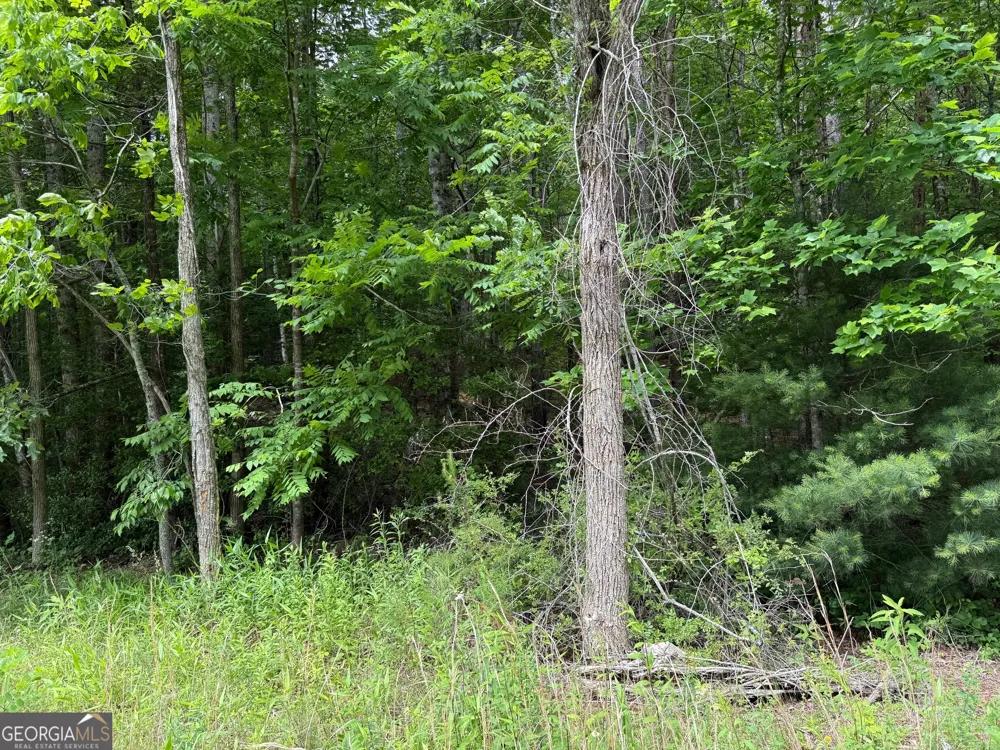 0 Mr Bert RD Hiawassee, GA 30546