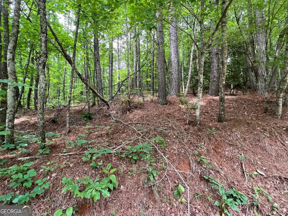 0 Mr Bert RD Hiawassee, GA 30546