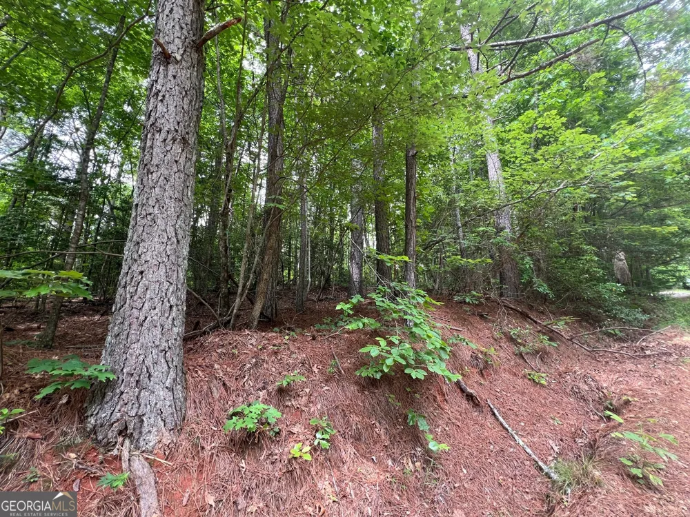 0 Mr Bert RD Hiawassee, GA 30546