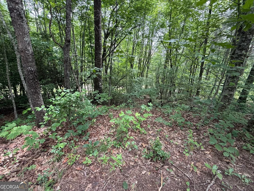 0 Mr Bert RD Hiawassee, GA 30546