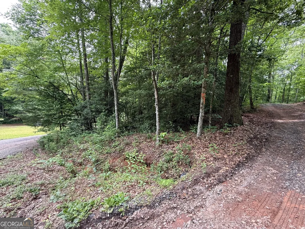 0 Mr Bert RD Hiawassee, GA 30546
