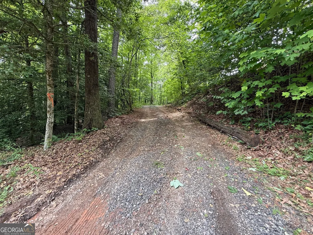 0 Mr Bert RD Hiawassee, GA 30546