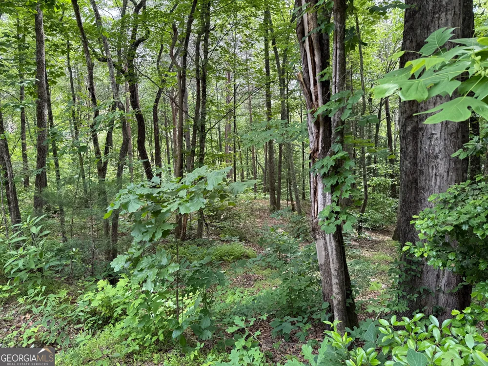 0 Mr Bert RD Hiawassee, GA 30546