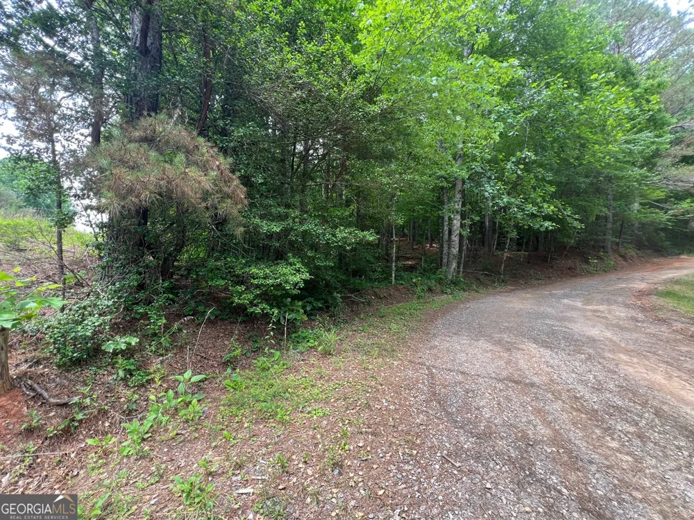 0 Mr Bert RD Hiawassee, GA 30546