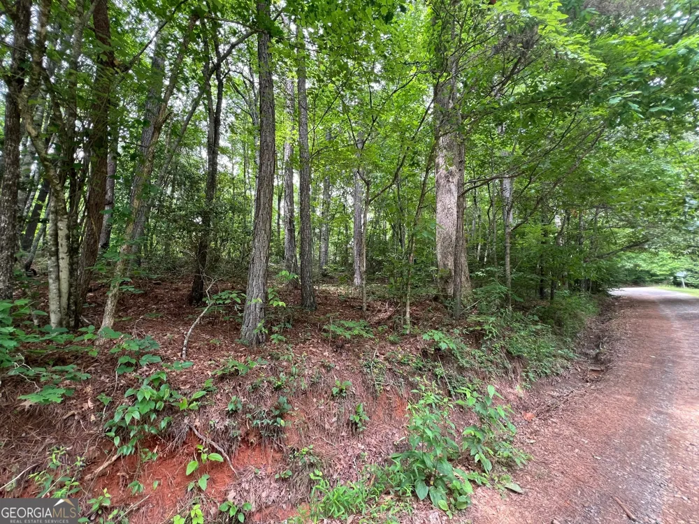 0 Mr Bert RD Hiawassee, GA 30546