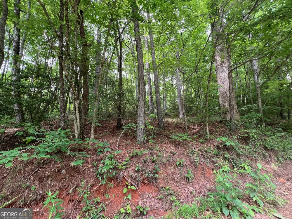 0 Mr Bert RD Hiawassee, GA 30546